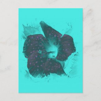 Tricolor Abstract Hibiscus zazzle_postcard