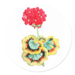 Tricolor-Leaved Pelargonium, Meteor Round Stickers