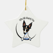 Tricolor Rat Terrier IAAM Christmas Tree Ornament