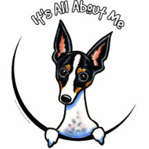 Tricolor Rat Terrier IAAM Photo Cut Out