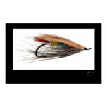 Tricolor Salmon Fly Poster