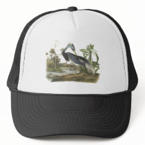 Tricolored Heron, John Audubon Mesh Hats