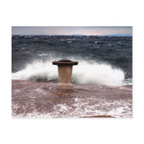 trieste molo audace postcards