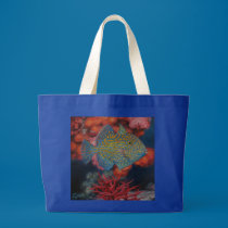 Trigger Fish bags