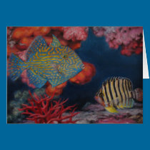 Trigger Fish cards