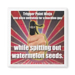 Trigger Point Therapy (TM) Watermelon Seeds magnets