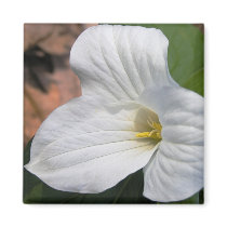 Trillium Magnets by kerstitch Trillium Magnets