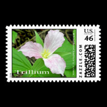 Trillium Stamp