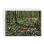 Trilliums, Morgan Arboretum, Montreal, Quebec Red Custom Invitation