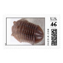 Trilobite, back view postage by wwwsikhote Trilobite, back view postage