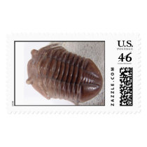 Trilobite, back view postage