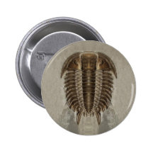 Trilobite Button