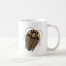 Trilobite Coffee Mugs