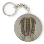 Trilobite Fossil Keychain