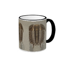 Trilobite Fossil Mug