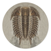 Trilobite Fossil Sticker