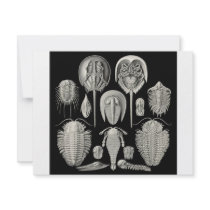 Trilobite! invitations