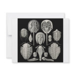 Trilobite! Personalized Invitation