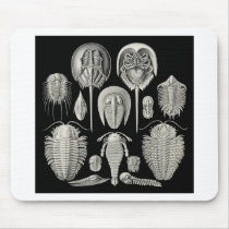 Trilobite! Mouse Pad