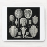 Trilobite! Mouse Pad