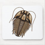 Trilobite Mousepads