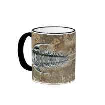 Trilobite Mug