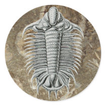 Trilobite Sticker