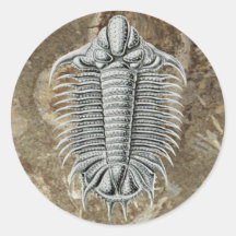 Trilobite Sticker