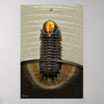 TRILOBITE TOTEM POSTERS