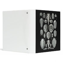 Trilobites and Sea Scorpions 3 Ring Binder