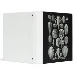Trilobites and Sea Scorpions 3 Ring Binder