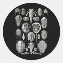 Trilobites and Sea Scorpions Round Stickers