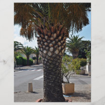 Trimmed palm tree close up flyer