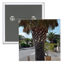 Trimmed palm tree close up pinback button