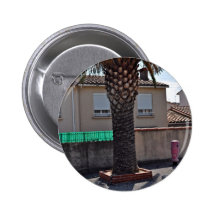 Trimmed Phoenix palm tree Pinback Button