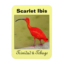 Trinidad and Tobago Flexible Magnet