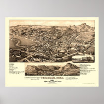 Trinidad, CO Panoramic Map - 1882 Poster