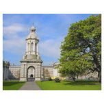 Trinity College in Dublin Personalized Flyer
