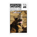 Trinky Rules postage by Andre33 Trinky Rules postage