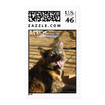 Trinky Rules postage by Andre33 Trinky Rules postage