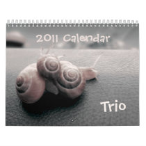 TRIO 2011 calendar