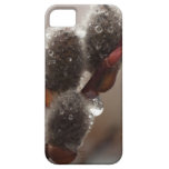 Trío del Catkin del CTR iPhone 5 Case-Mate Cobertura