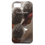 Trío del Catkin del CTR iPhone 5 Case-Mate Protectores