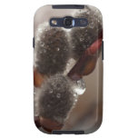 Trío del Catkin del CTR Galaxy S3 Fundas