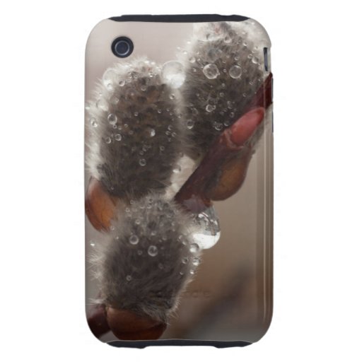 Trío del Catkin del CTR iPhone 3 Tough Protectores