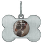 Trío del Catkin del CTR Placas Mascota