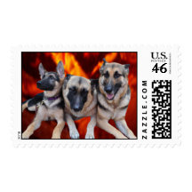 Trio German Shepherds Postage