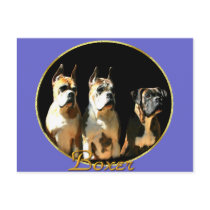 Trio of boxer dogs postcard by ritmoboxer Trio of boxer dogs postcard