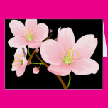Trio of Cherry Blossoms Cards