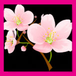 Trio of Cherry Blossoms Posters